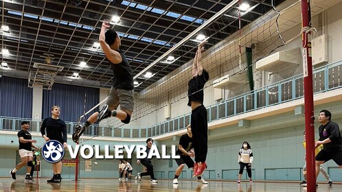 Volleyball in Osaka & Kyoto with locals!