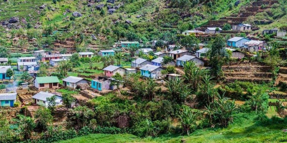 Picture 4 for Activity Heeloya Village: All Inclusive Trekking with Lunch!