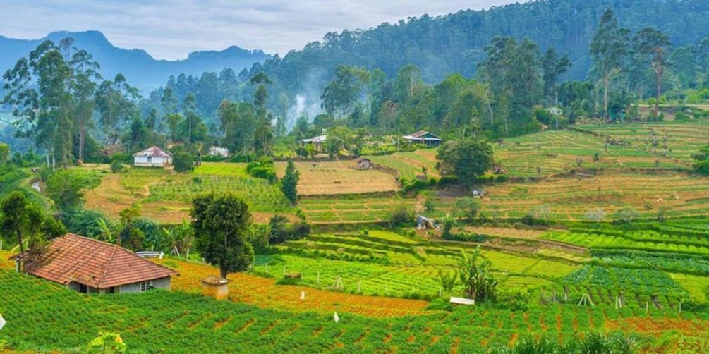 Picture 8 for Activity Heeloya Village: All Inclusive Trekking with Lunch!