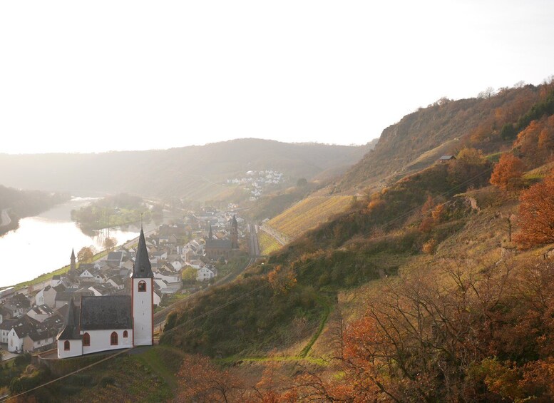 Picture 6 for Activity From Alken: Moselle Valley Sightseeing Cruise