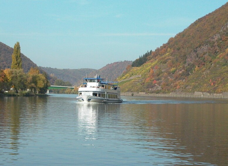 From Alken: Moselle Valley Sightseeing Cruise