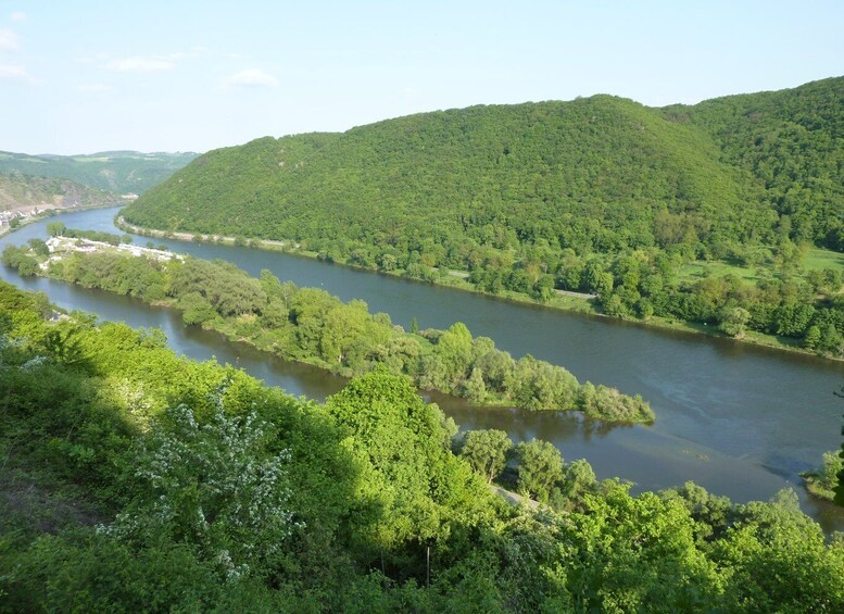 Picture 3 for Activity From Alken: Moselle Valley Sightseeing Cruise