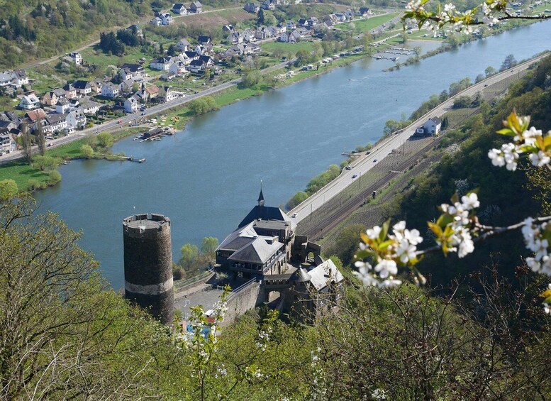 Picture 7 for Activity From Alken: Moselle Valley Sightseeing Cruise