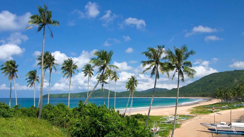 Picture 1 for Activity El Nido Town: Transfers to/from Nacpan Beach