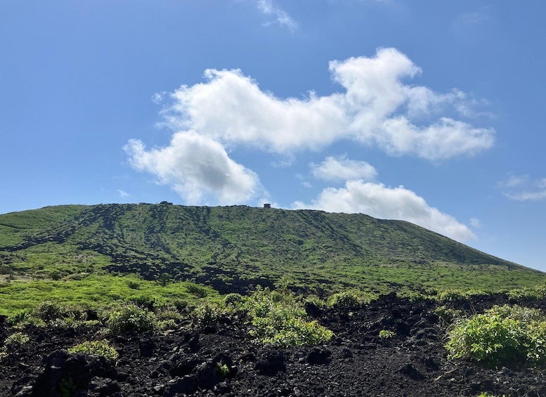 Picture 9 for Activity Feel the volcano by trekking at Mt.Mihara