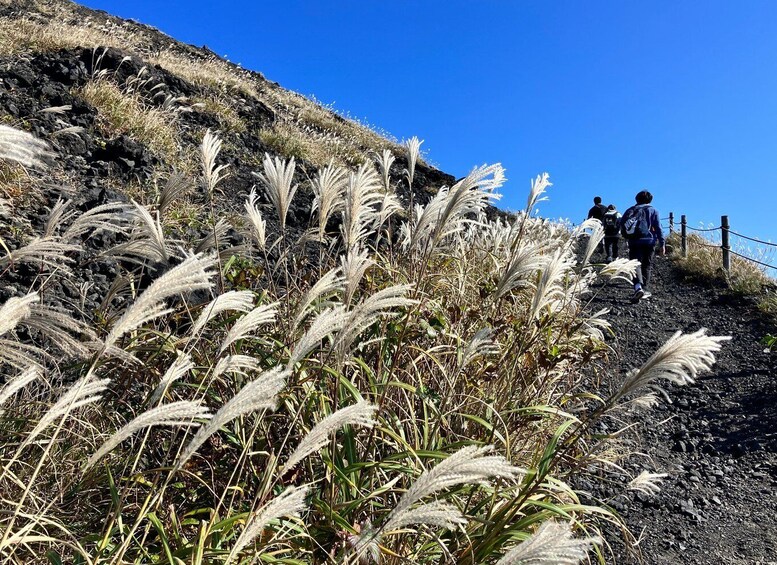 Picture 6 for Activity Feel the volcano by trekking at Mt.Mihara