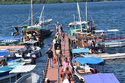 Kisite-Mpunguti Marine National Park Dolphin Tour