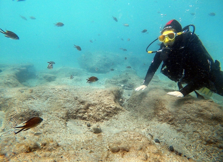 Picture 6 for Activity Fuerteventura : Discover Scuba Diving