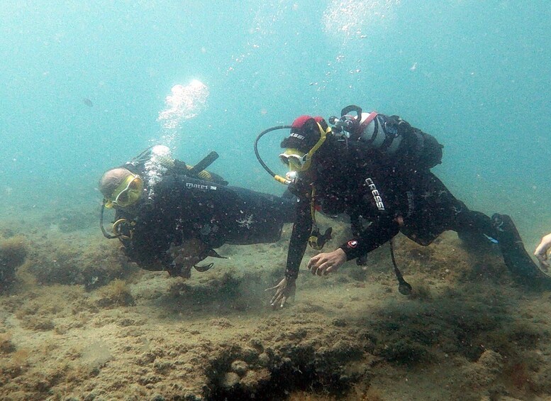 Fuerteventura : Discover Scuba Diving