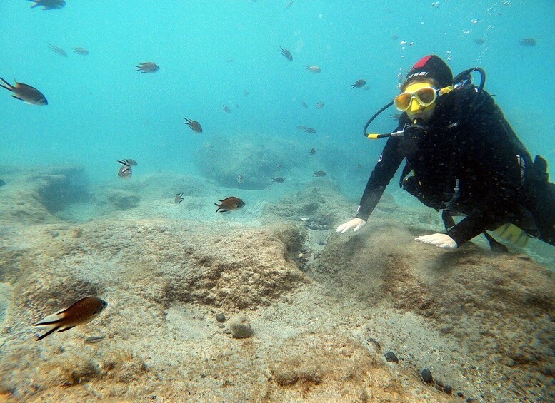 Picture 6 for Activity Fuerteventura : Discover Scuba Diving