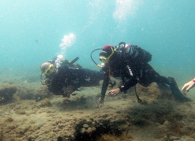Fuerteventura: Discover Scuba Diving