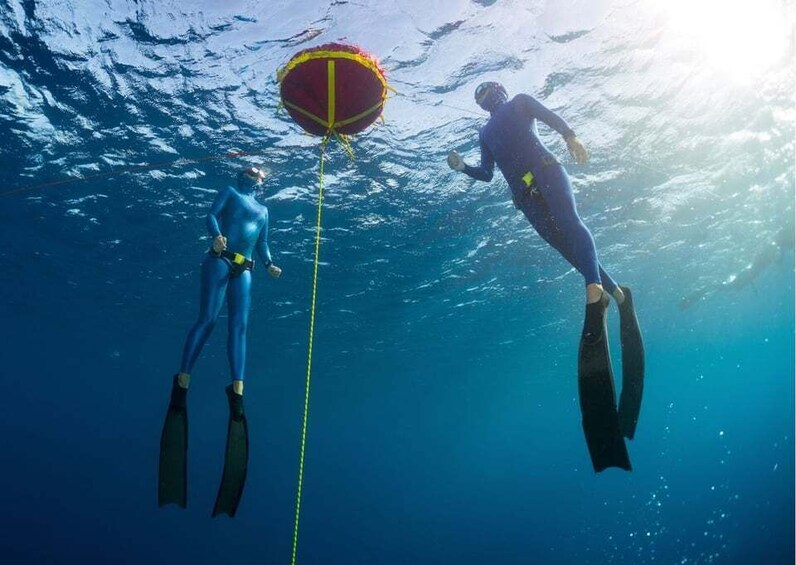 Picture 2 for Activity Try Freediving experience in Arrábida Marine Reserve