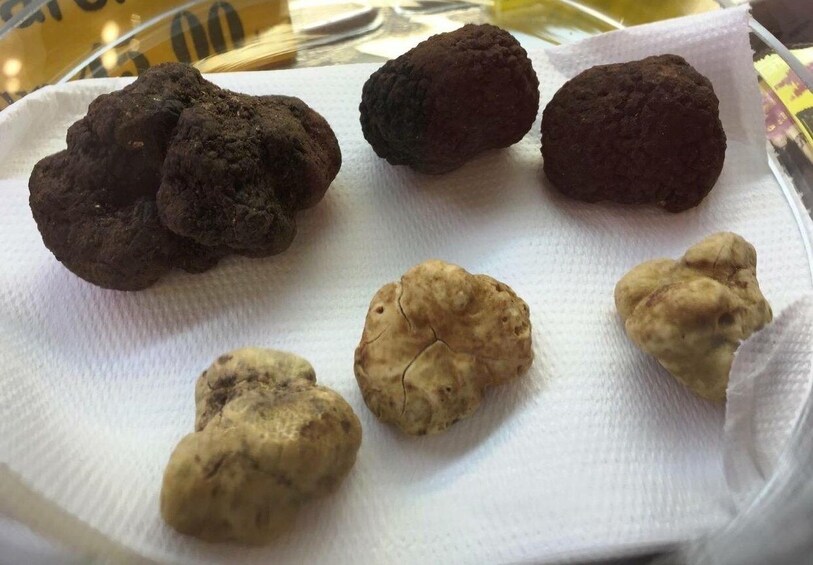 The Truffle Experience in Rome