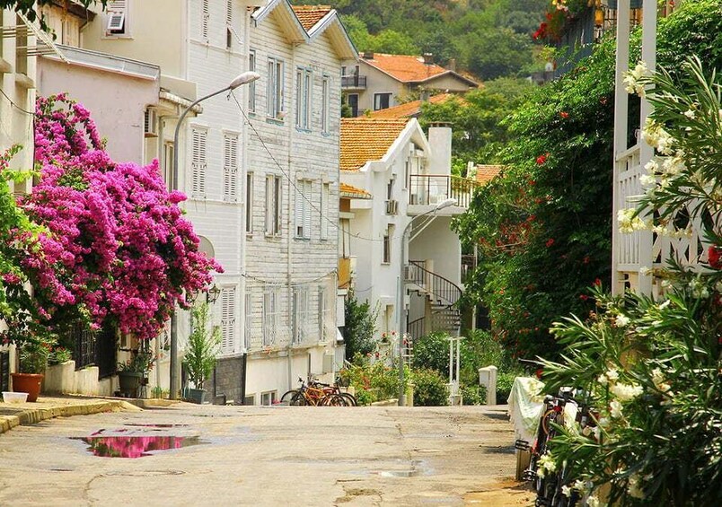 Picture 4 for Activity Istanbul: Round-Trip Ferry Tickets to the Princes' Islands