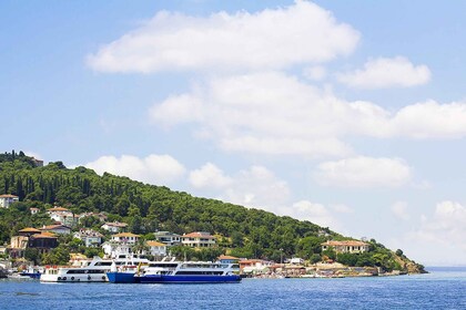 Istanbul: Hin- und Rückfahrkarten für die Fähre zu den Prinzeninseln