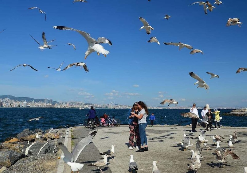 Picture 6 for Activity Istanbul: Round-Trip Ferry Tickets to the Princes' Islands