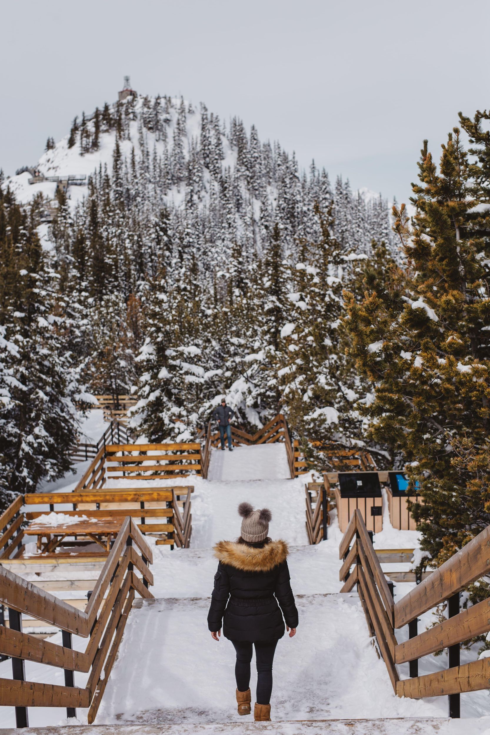Banff: Banff Town, Gondola, and Canyon Day Tour