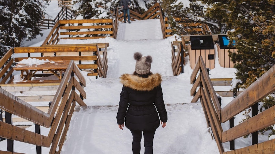 Banff: Banff Town, Gondola, and Canyon Day Tour