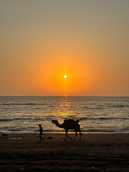 Picture 4 for Activity Half-Day Carriage Tour with Grilled Fish Lunch & Swimming