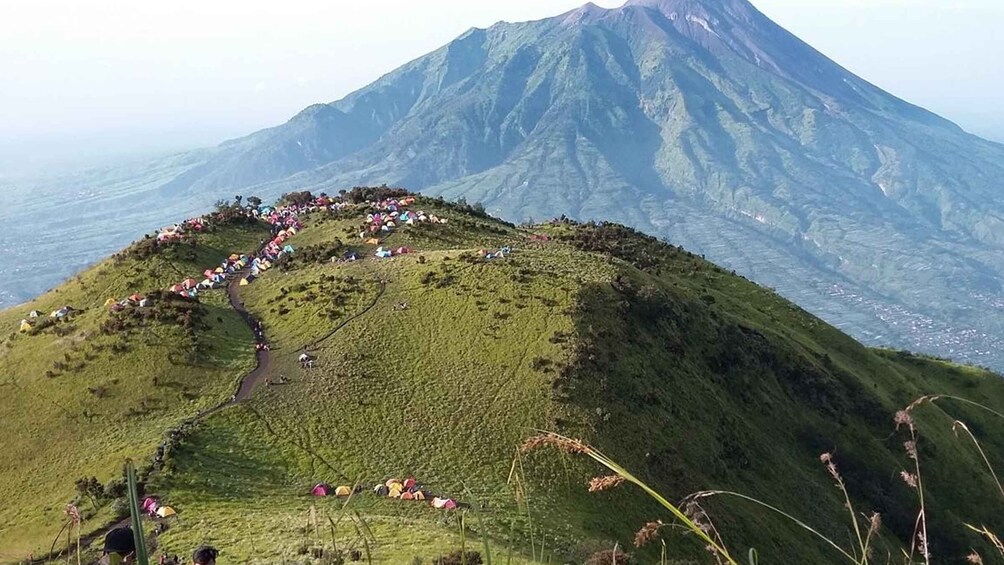 Picture 5 for Activity Mount Merbabu Day Hiking Tour