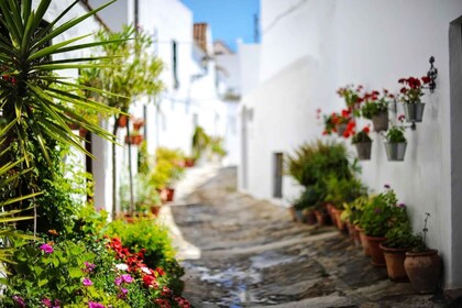 Privé dagtrip vanuit Cádiz: Vejer de la Frontera en Bolonia