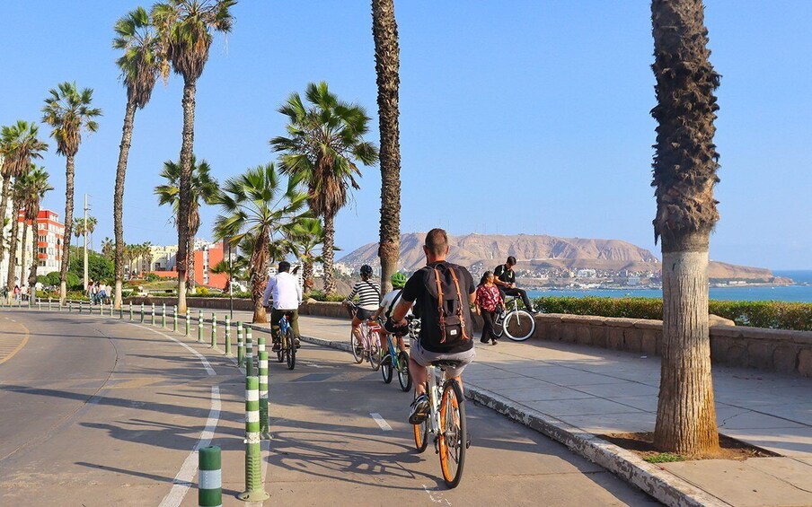 Picture 6 for Activity Lima: Bike Tour in Miraflores and Barranco Districts