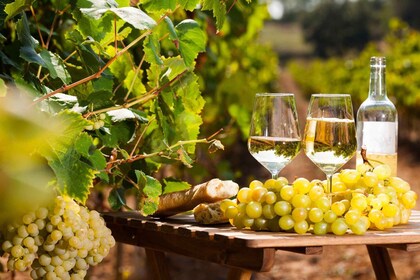 Desde Niza: recorrido por Antibes y St Paul de Vence con degustación de vin...