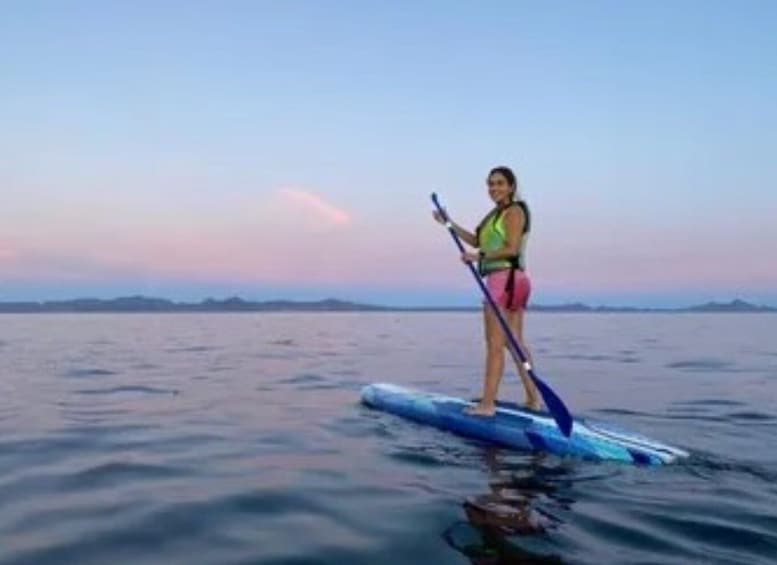 Loreto: Paddleboard Rental Service