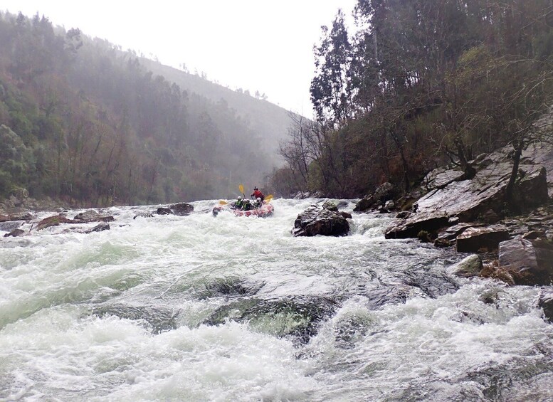 Picture 11 for Activity From Arouca: Paiva River Rafting Adventure - Adventure Tour