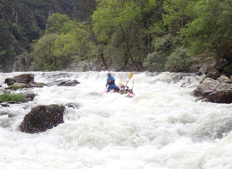Picture 12 for Activity From Arouca: Paiva River Rafting Adventure - Adventure Tour