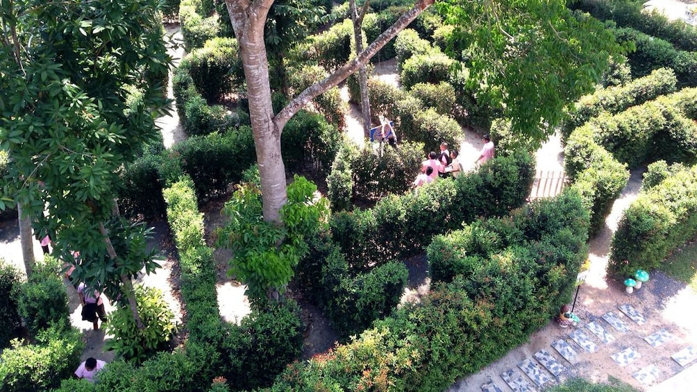 แสดงภาพที่ 2 จาก 4 Hedge maze in Phuket