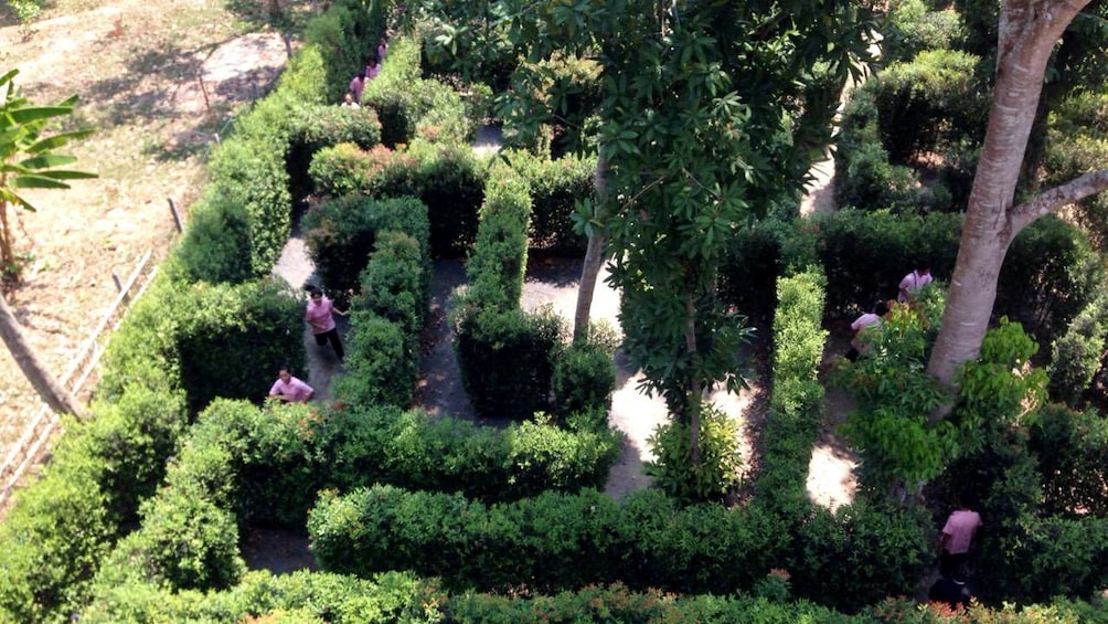 แสดงภาพที่ 3 จาก 4 Hedge maze in Phuket