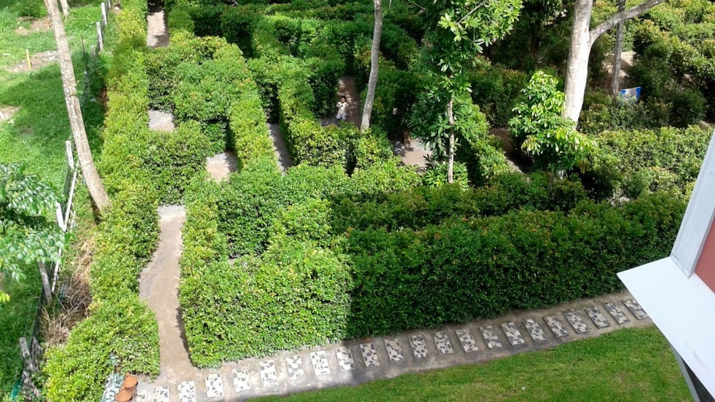 แสดงภาพที่ 1 จาก 4 Hedge maze in Phuket