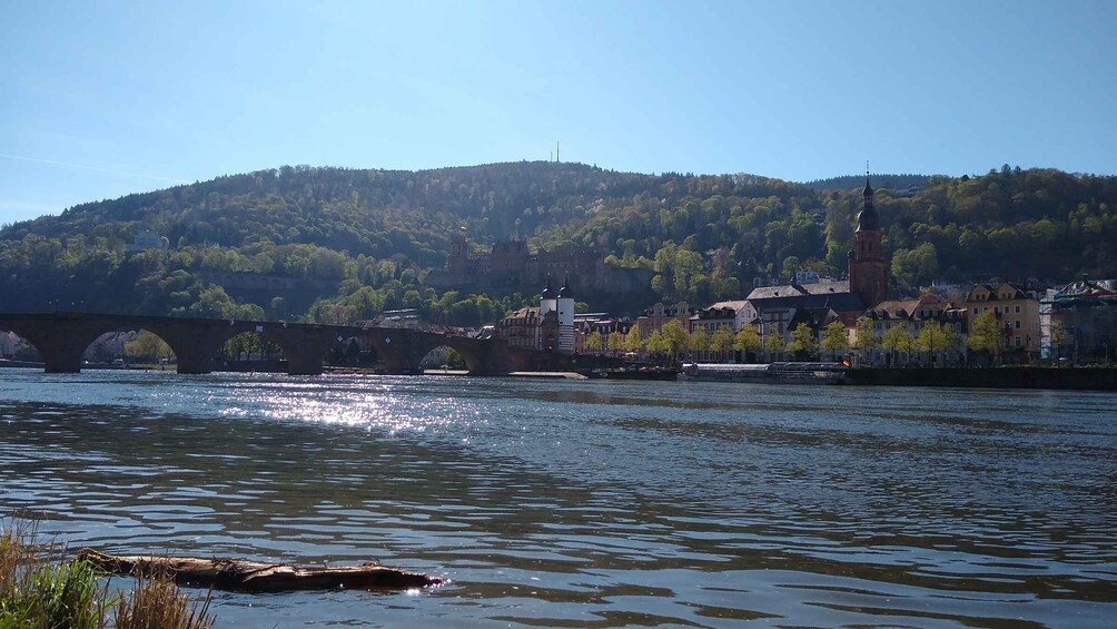 Picture 5 for Activity Heidelberg: Guided Bike Tour