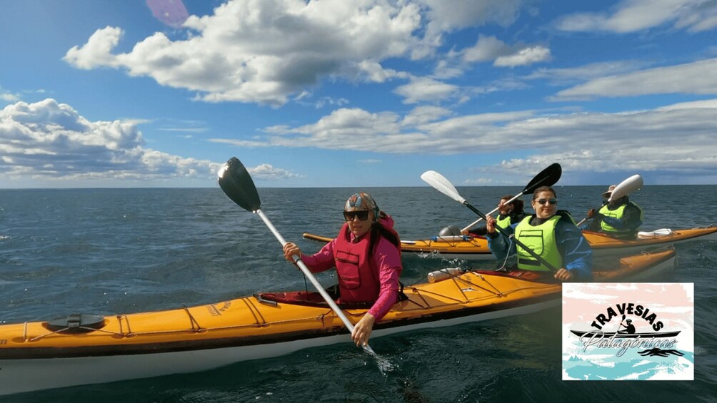 Picture 3 for Activity Kayaking adventure in Puerto Madryn