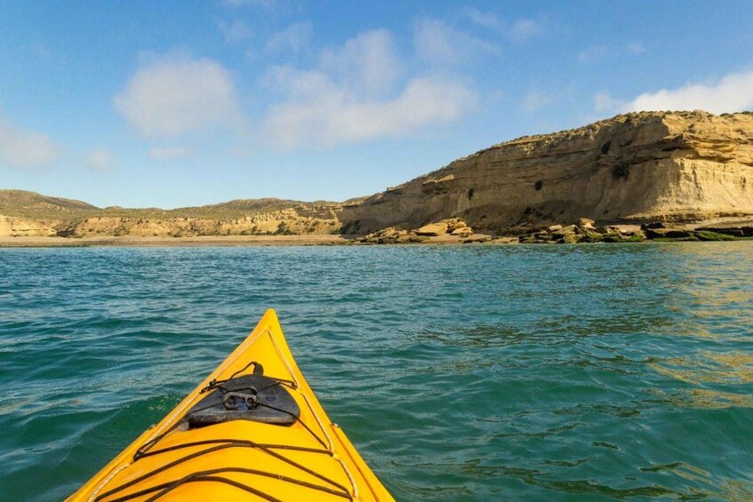 Picture 5 for Activity Kayaking adventure in Puerto Madryn