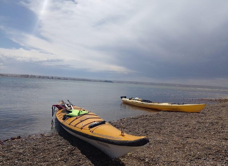 Picture 6 for Activity Kayaking adventure in Puerto Madryn