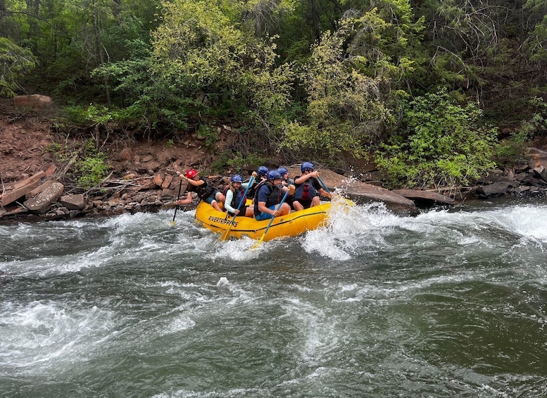 Picture 2 for Activity Telluride: Half-Day Rafting on the San Miguel River
