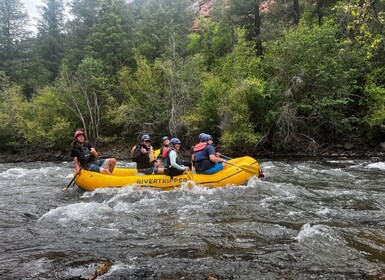 Telluride: Halbtages-Rafting auf dem San Miguel River
