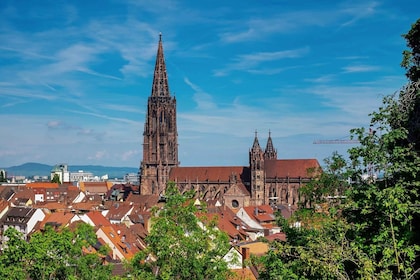 Freiburg: Private Exclusive History Tour with a Local Expert