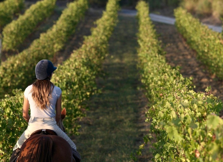 Picture 2 for Activity Siena: Horseback Adventure in the Tuscan Countryside