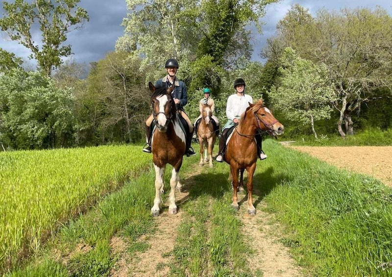 Picture 10 for Activity Siena: Horseback Adventure in the Tuscan Countryside