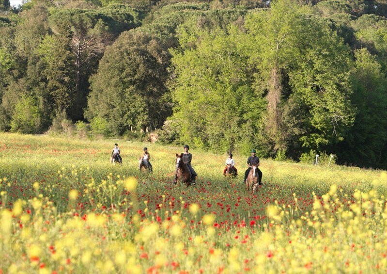 Picture 1 for Activity Siena: Horseback Adventure in the Tuscan Countryside