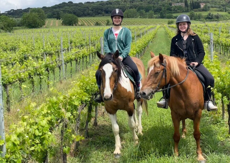Picture 4 for Activity Siena: Horseback Adventure in the Tuscan Countryside