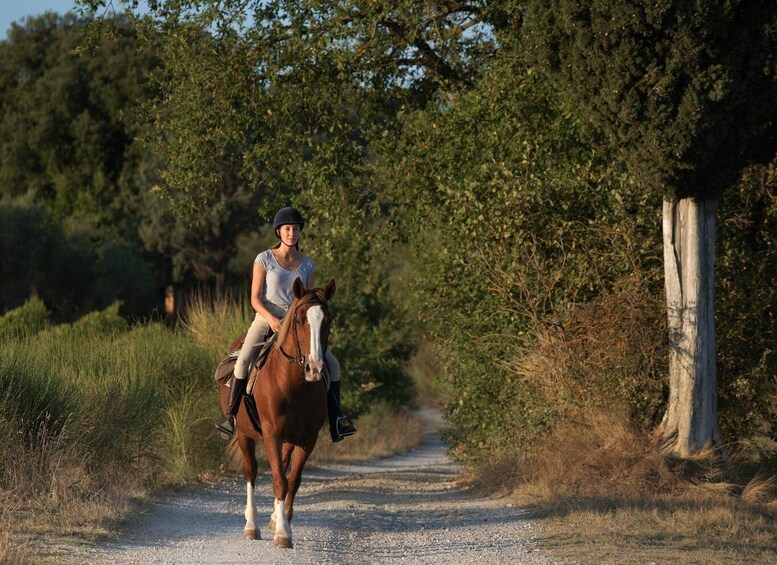 Picture 14 for Activity Siena: Horseback Adventure in the Tuscan Countryside