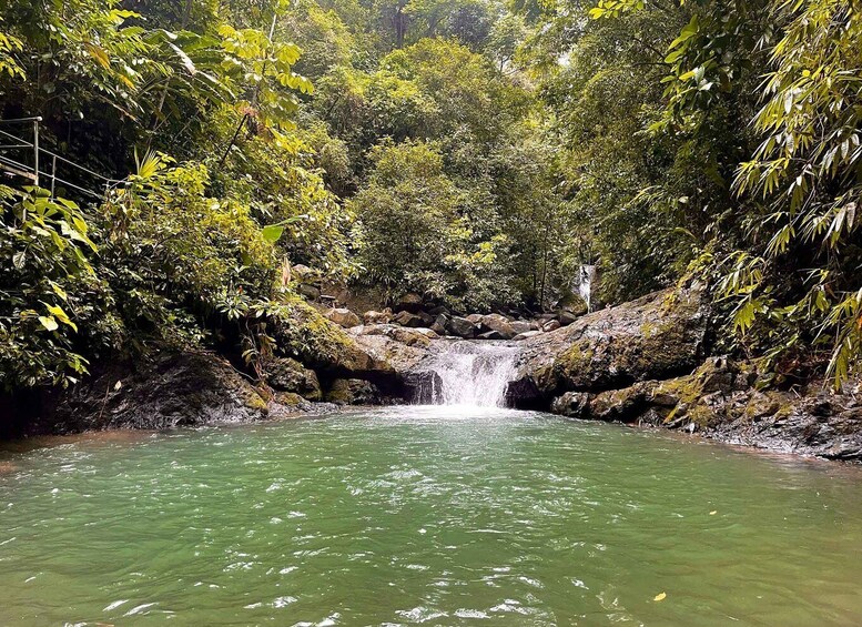 Picture 3 for Activity Uvita Waterfall & Surf Experience Discover Uvita Costa Rica