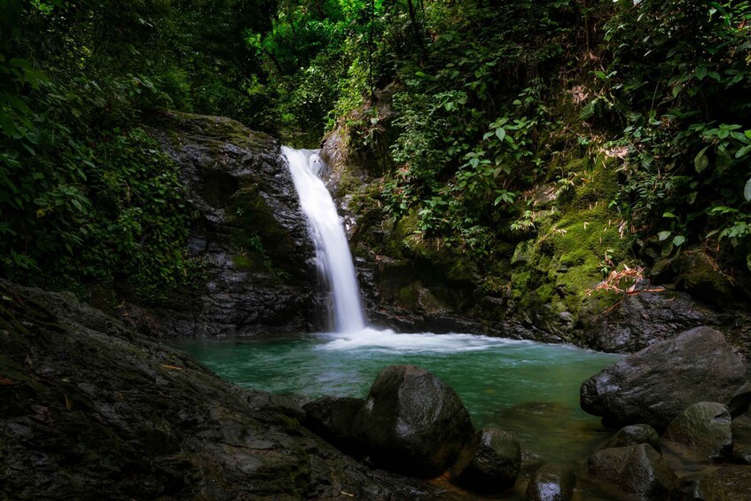 Picture 4 for Activity Uvita Waterfall & Surfing Discover Costa Rica - Private Tour