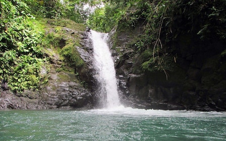 Uvita Waterfall & Surfing Discover Costa Rica - Private Tour