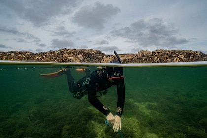 Playa de Coral Snorkel Galway
