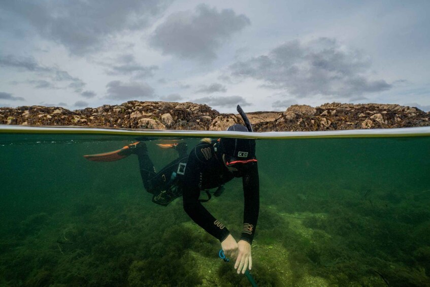 Coral Beach Snorkeling Galway